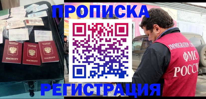 прописка в квартире в Камышине